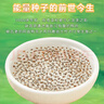 十月稻田 奇亚籽 400g 免洗即食 代餐饱腹 高蛋白膳食纤维 酸奶轻食伴侣 实拍图