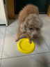 HELLOJOY狗狗飞盘玩具可浮水边牧柯基小中大型犬互动耐咬宠物玩具训练巡回 实拍图