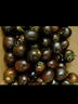 京鲜生 山东寿光黑珍珠小番茄净重2.8斤装 新鲜蔬菜紫色圣女果 源头直发 实拍图