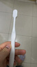 惠百施（EBISU）软毛牙刷京东自营宽头抗敏护龈孕妇十大知名品牌热门商品84孔*4支 实拍图