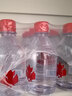 芬尼湾（FANNYBAY） 加拿大进口饮用天然水350ml*12瓶弱碱性小瓶装饮用水 (350ml*12瓶/箱) 实拍图