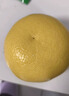 鲜闻果正宗爆汁黄金葡萄柚9斤柚子新鲜当季福建平和水果蜜柚文旦甜西柚A 9斤中果9-12个【250g+】 实拍图
