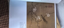 墨点美术 历代经典名画高清本 国画技法入门教程 工笔画菊花精选国画花鸟菊花牡丹临摹基础入门书籍 实拍图