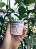卡士（CLASSY.KISS）蓝莓果粒鲜酪乳100g*6杯 低温酸奶 风味发酵乳 实拍图