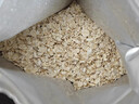 爷爷的农场燕麦片500g 澳洲原装进口儿童宝宝营养早餐即食冲饮代餐全谷物 实拍图