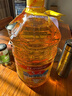 鲁花 食用油 物理压榨 葵花仁油6.18L  实拍图