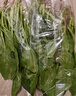 大菠菜300g 实拍图