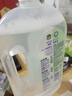 滴露消毒液灭活流感冠状病毒消毒水除菌1.8L*2洗衣家居除螨杀菌甲流感 实拍图