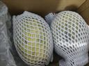 京鲜生 海南哈密瓜 西州蜜/西周蜜 2粒 5-7斤 单果2.5斤起 生鲜水果礼盒 实拍图