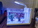 森森 高清玻璃鱼缸一体缸自循环HSD-300侧滤款 实拍图