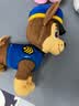 汪汪队立大功（PAW PATROL）汪汪队玩具毛绒全套狗狗玩偶公仔男女孩玩具旺旺队儿童生日礼物 站姿款-天天公仔 中号-坐或站高约17~22.9CM 实拍图