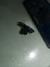 吃鸡神器和平精英使命召唤手游辅助压枪按键新款专用物理外设一键双控安卓苹果 X8吃鸡神器 实拍图
