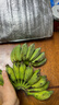 京喜加正宗苹果蕉广西香蕉自然熟新鲜水果奶蕉粉蕉小米芭蕉鹏贸 净重5斤 实拍图