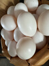 均鲜新鲜土鸽子蛋杂粮喂养农家特产白鸽蛋信鸽蛋孕妇宝宝年货节礼盒装 60枚1220g左右精选鲜鸽蛋 实拍图