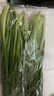 安心韭菜250g 实拍图