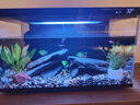 米家小米智能鱼缸 一体整机免装语音遥控半年免换水APP定时喂食水族箱 米家智能鱼缸 实拍图