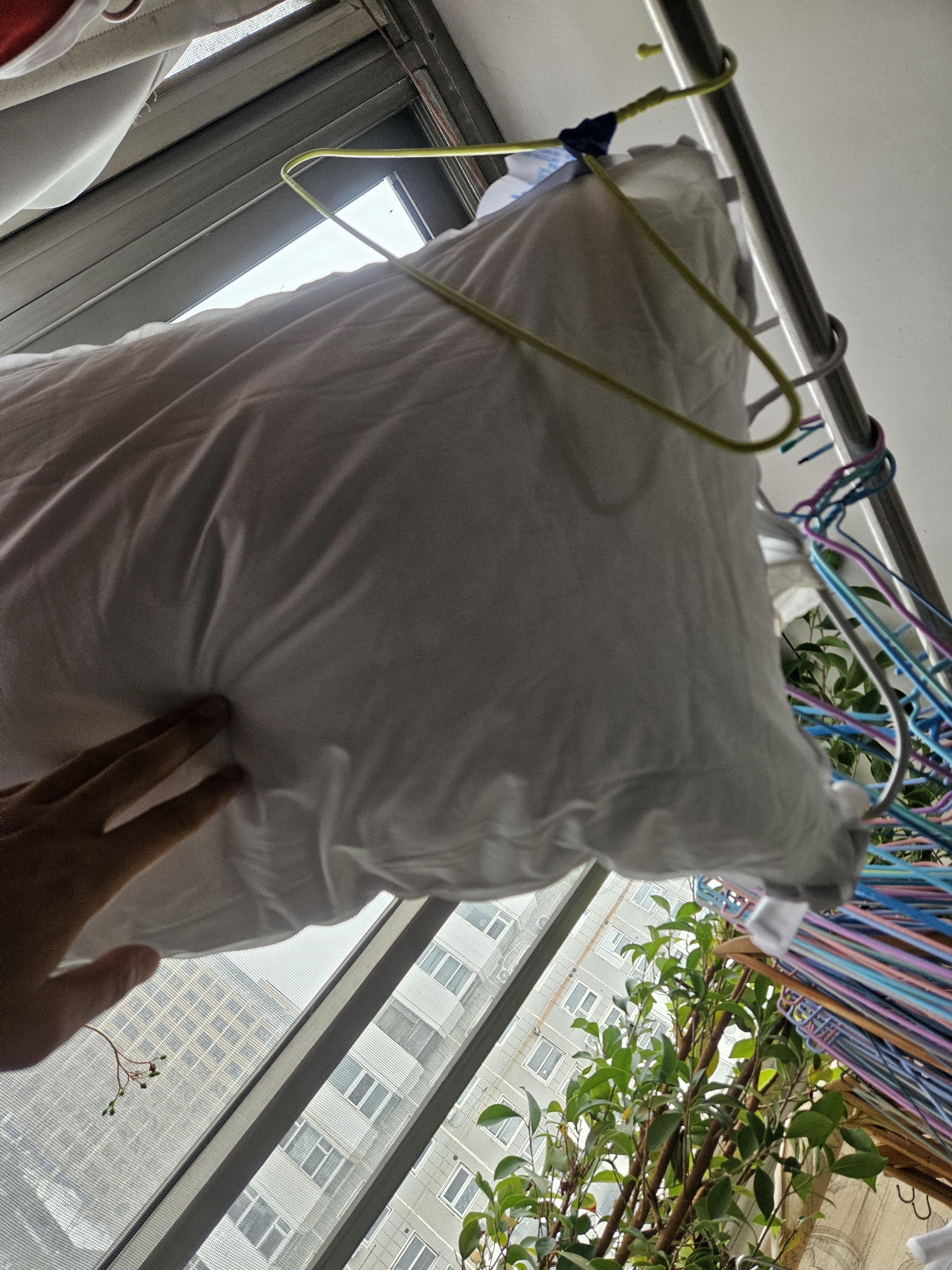 金号纯棉儿童枕超软羽丝绒幼儿园小枕芯500g单只灰边适用40*60cm枕套 实拍图