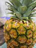 佳农 黑钻菠萝1粒装 菲律宾凤梨 净重2斤起 生鲜水果 源头直发 包邮 实拍图