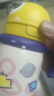 babycare儿童保温杯婴儿宝宝吸管水杯霸王龙不锈钢保温杯300ml-新旧款混发 实拍图