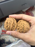 山中玉文玩核桃狮子头手把玩古麻核桃核头蛤蟆手盘把件男女送圣诞礼物 进阶级41-42虎头1对+升级工具 实拍图