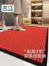 大江入户地垫脚垫进户门2025年新款门垫玄关地毯门口入户80x120cm 实拍图