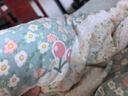 京东京造100%天然新疆棉花被 纯棉被芯双人被子 秋冬被6斤2x2.3m 实拍图