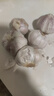 大蒜头出口品质网兜紫蒜蔬菜调料新鲜大果烧烤火锅食材 【精品网兜装】5头装 150g 实拍图