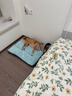 华元宠具狗窝垫子四季通用大型犬冬季保暖狗狗床宠物沙发可拆洗睡垫猫咪窝 实拍图