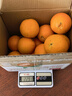 京鲜生 湖北秭归纽荷尔脐橙4.5斤单果150g+应季水果 源头直发包邮 实拍图