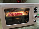 长帝（changdi）猫小易pro家用电烤箱风炉平炉空气炸42升大容量多功能炸烤一体冰莓粉烧烤炸串 实拍图
