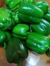 现摘新鲜圆辣椒超市即食太空椒皮厚肉多不辣水果灯笼椒 1斤试吃装1斤 实拍图
