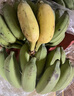 广西小米蕉小香蕉自然熟迷你香蕉苹果蕉小芭蕉新鲜水果特产鸡蕉 苹果蕉 5斤 香甜软糯 实拍图