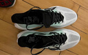 李宁追风PRO丨跑步鞋男女同款轻量高回弹竞速训练碳板跑鞋ARPV017 实拍图