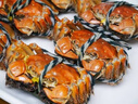 【活蟹】阳澄联合鲜活大闸蟹现货公4.0-4.3两 母3.0-3.3两 5对螃蟹年货礼盒源头直发 实拍图
