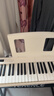 特伦斯折叠钢琴88键便携式电钢琴成人儿童电子琴重力度键盘V30pro钢琴 时尚白+专用琴包 实拍图