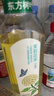 农夫山泉东方树叶茉莉花茶900ml*12瓶无糖茶饮料0糖0脂0卡整箱装热门商品 实拍图