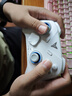 飞智冰原狼4多模版无线游戏手柄 类xbox 力调节摇杆双切扳机 switch电脑PC手机steam体感NS 丝之歌 实拍图