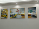 诗六艺家饰客厅装饰画北欧现代简约沙发背景墙挂画三联画大气轻奢壁画晶瓷画 家和富贵A（铝合金外框） 晶瓷画左右50*70+中间100*70亮面 实拍图