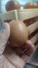 德青源谷物鲜鸡蛋30枚2.54斤 无抗生素 营养早餐 礼盒装 源头直发 实拍图