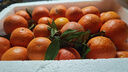 【产地直发】正宗广西金秋砂糖橘棉橘水果新鲜当地砂糖橘橘子新鲜 砂糖橘带箱3斤 实拍图