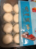 广州酒家 流沙凤凰包750g 20个 早餐半成品 广式早茶 包子食品 年货送礼 实拍图