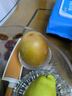 佳沛（zespri）新西兰 阳光金奇异果12粒礼盒特大果单果约122-146g 猕猴桃 水果 实拍图