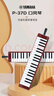 雅马哈（YAMAHA）口风琴键盘初学专业演奏P-37D棕红色37键【学生适用 老师推荐】 实拍图