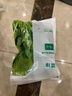悦味纪 鲜冻菠菜500g 菠菜 冷冻蔬菜 半成品方便菜速食 实拍图