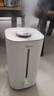 美的（Midea）空气加湿器家用卧室静音抗菌孕妇母婴幼儿大容量客厅办公室桌面小型鼻炎迷你雾化器新年礼物3G40S 实拍图