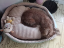 华元宠具（hoopet）狗窝四季通用狗狗床中大型犬睡觉可拆洗宠物睡垫子秋冬季保暖猫窝 实拍图