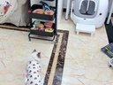 小佩智能全自动猫砂盆可视猫厕所MAX PRO2电动铲屎一键换砂开放式隔臭 实拍图