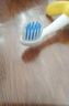 狮王（Lion）小狮王儿童牙刷1-2岁 婴幼儿宝宝细软毛乳牙清洁牙刷单支颜色随机 实拍图