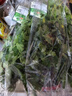 带根香菜100g 实拍图