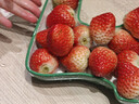 京鲜生 长丰红颜草莓净重1.5斤装 单果25g 生鲜水果 源头直发包邮 实拍图